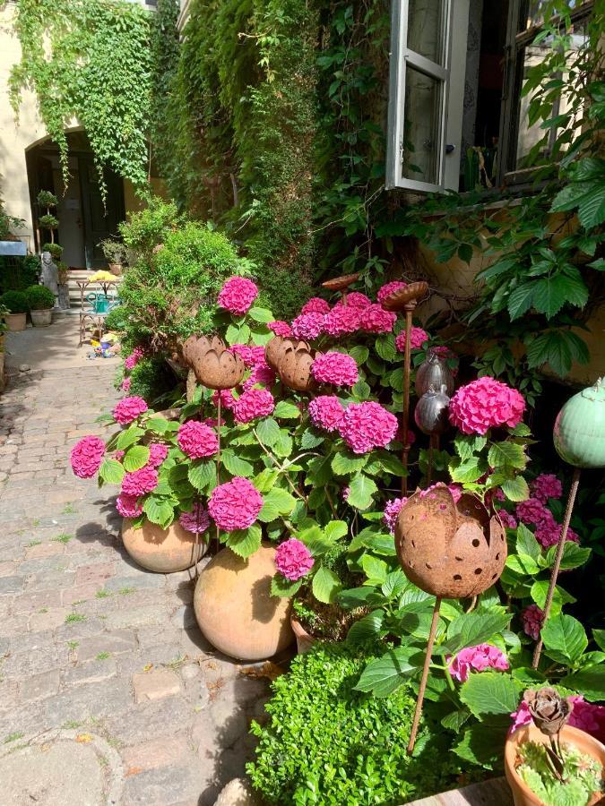 Apothekergaarden Stege B&B Kültér fotó